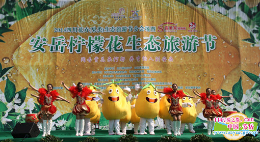 安岳柠檬节