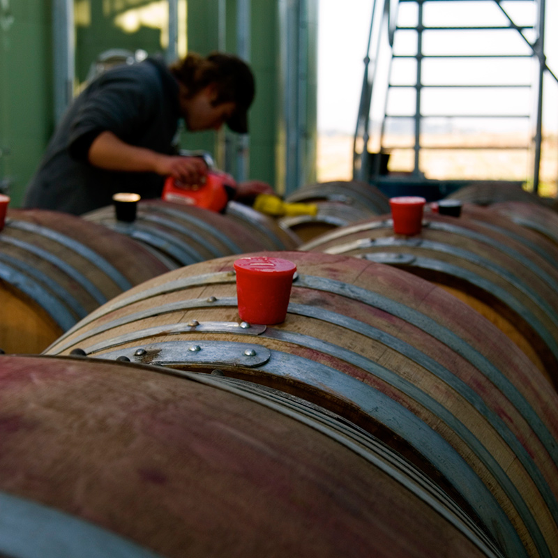  p>salience 中文名是赛乐诗,澳大利亚100%原瓶进口红酒品牌.