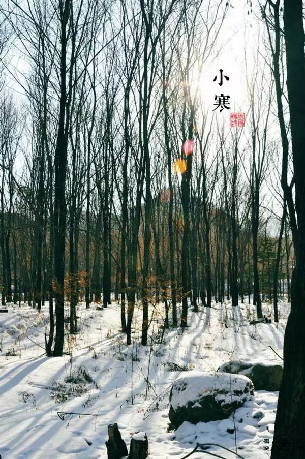 小寒：最冷“三九天”要来了_百科TA说