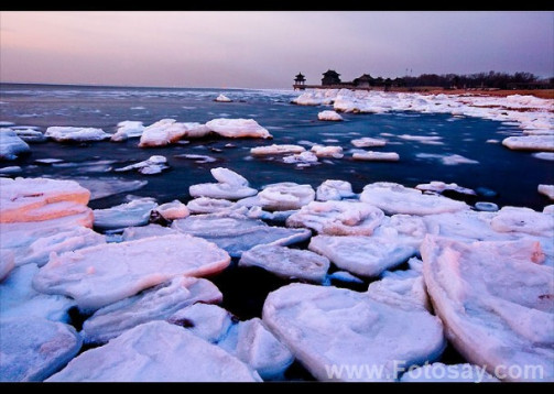 海冰（海水冻结而成的咸水冰）_百度百科