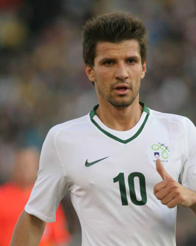 达里博尔·斯特瓦诺维奇