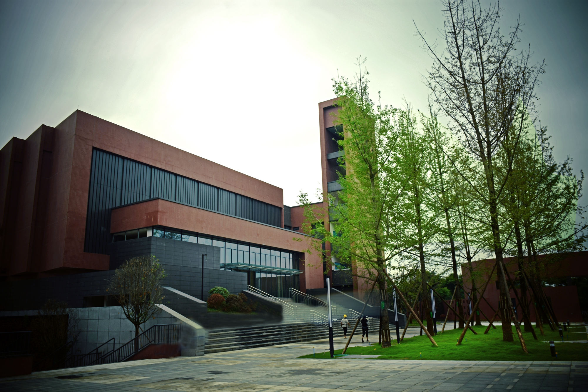 电子科技大学实验中学