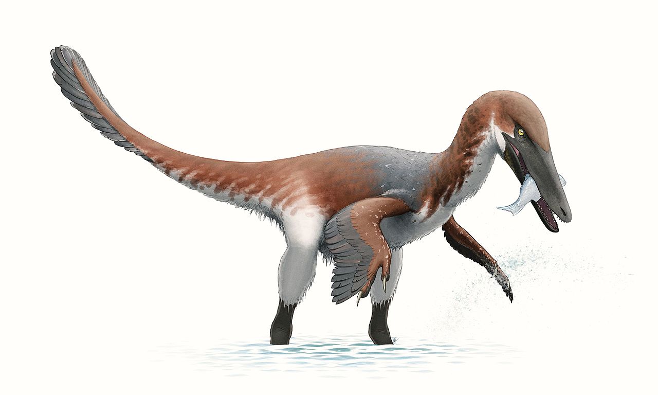  p>驰龙科(dromaeosauridae)是群类似 a href="#" data-lemmaid="