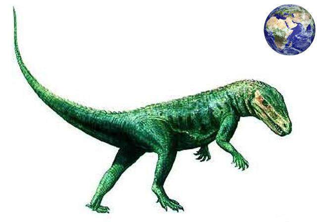  p>鸟鳄生活在,是当时占优势的初龙类中的一员.