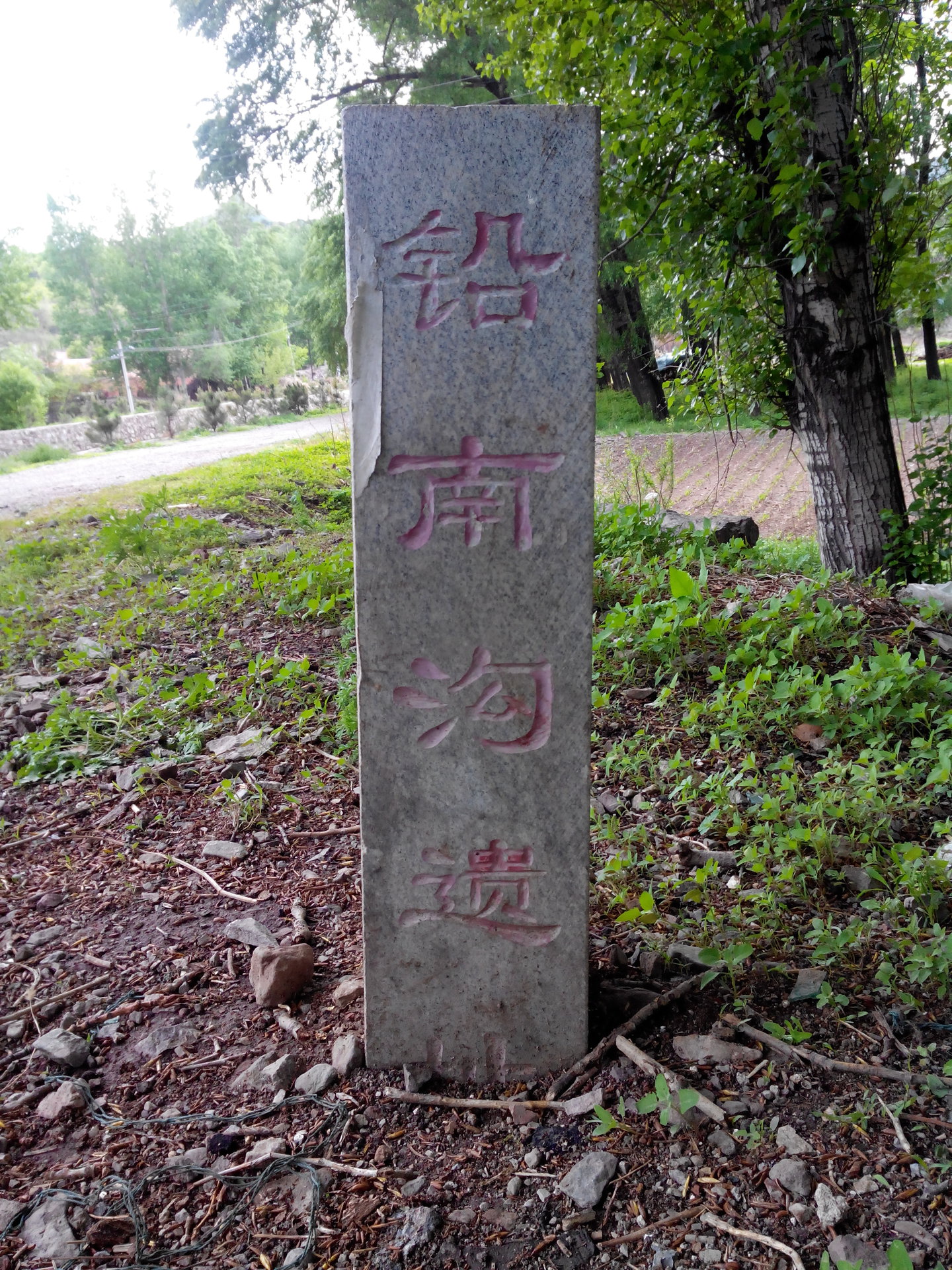  p data-id="gn3p5g3kll">河北省承德市平泉县杨树岭镇铅南沟在2008年