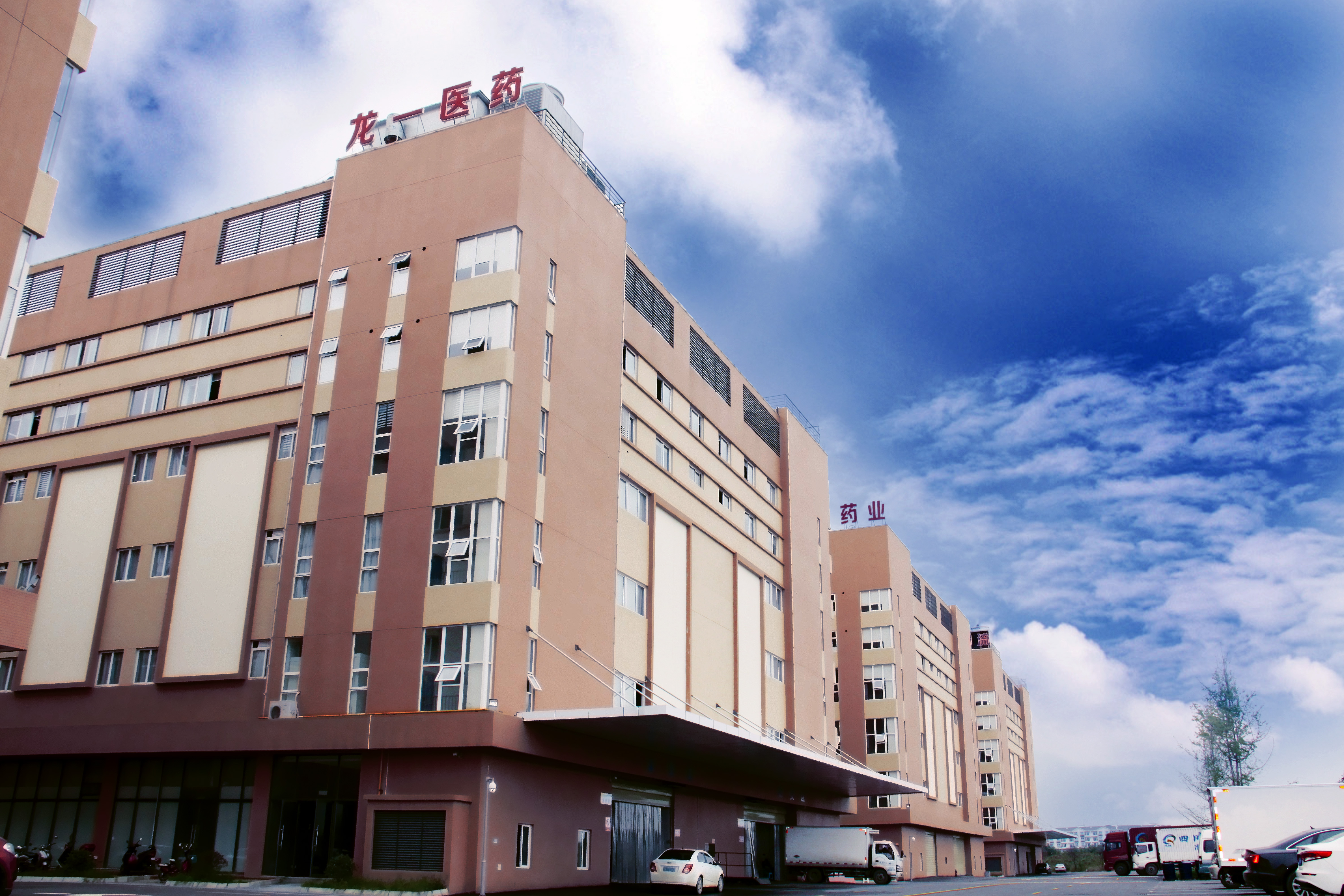 四川龙一医药有限公司