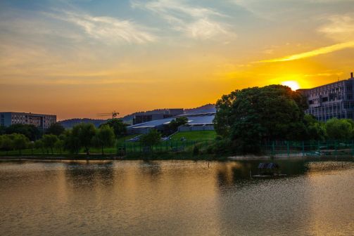 中南大学_百度百科