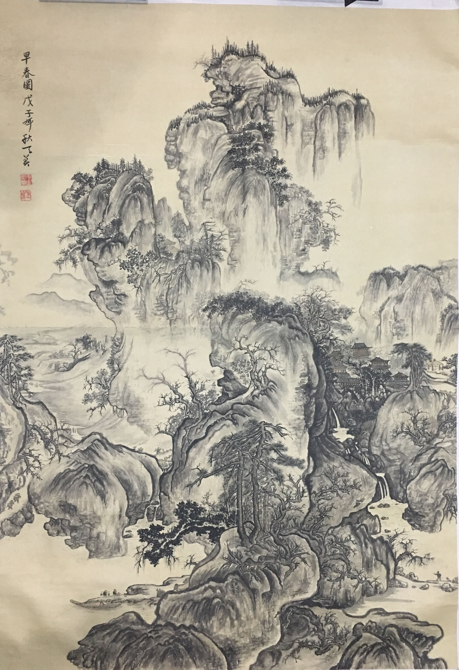 王天美
