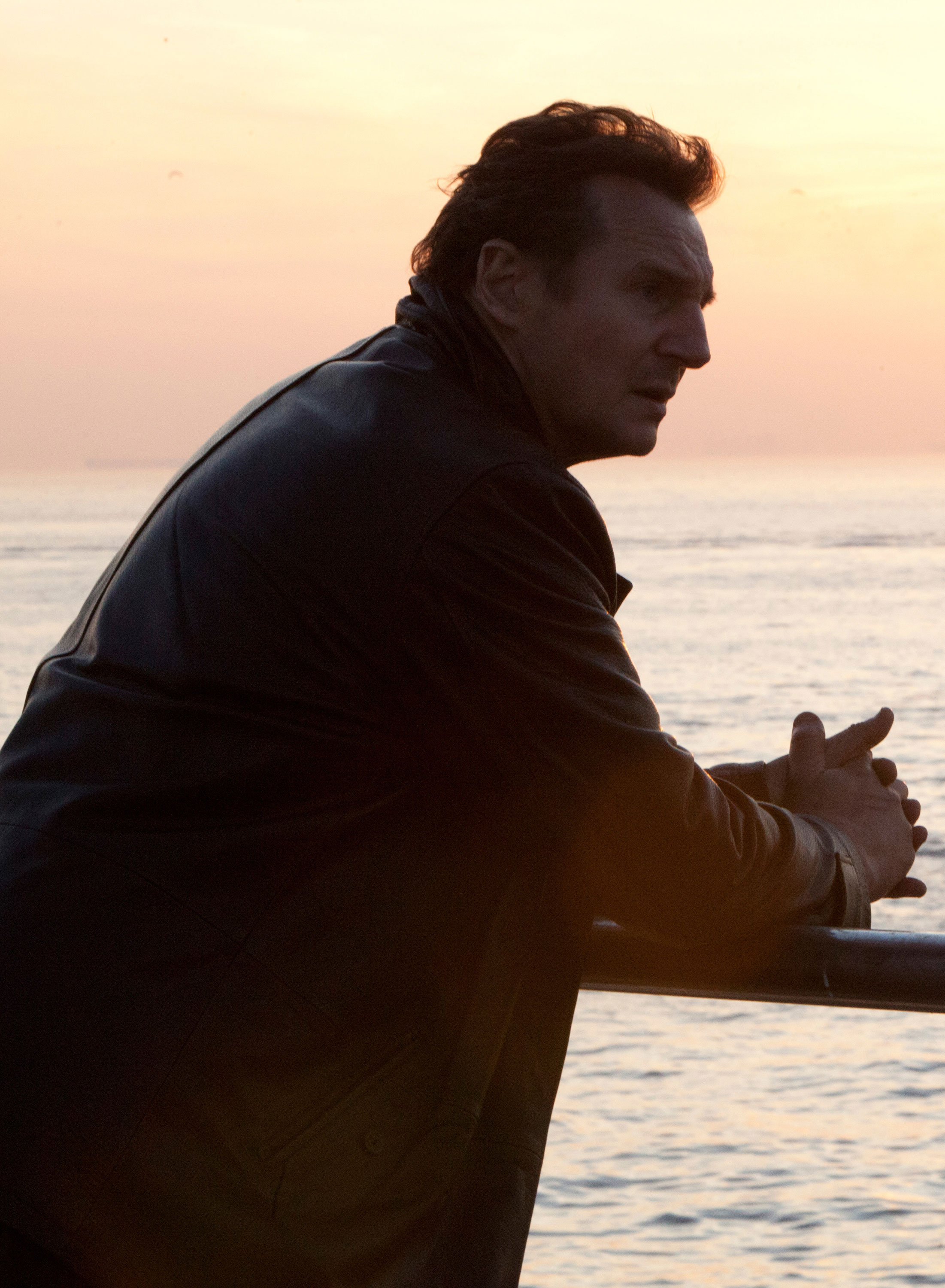 id="3904753">奥利维尔·米加顿 /a>执导, a href="#">连姆·尼森 /a>