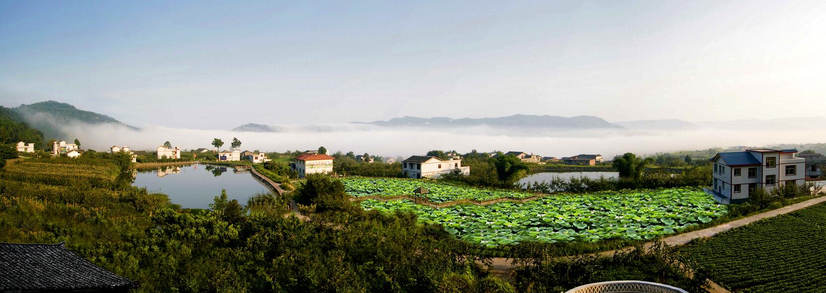  p data-id="gn09zrkwtc">狮岭景区位于苍溪县云峰镇狮岭村,距苍溪