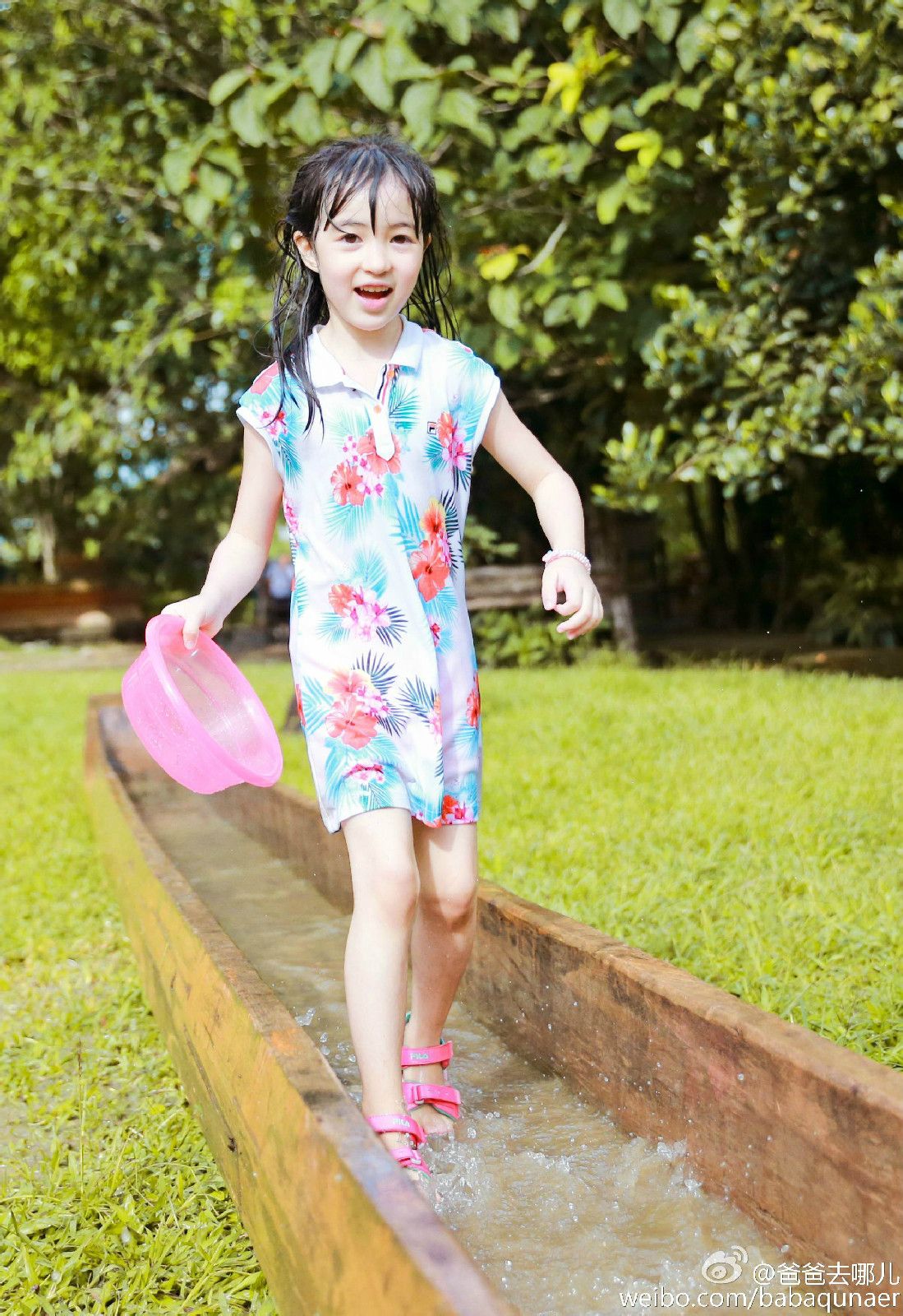 夏天(poppy),2009年12月2日出生于台湾,中加