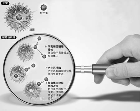  p>耐药性(drug resistance)又称抗药性,系指微生物,寄生虫以及肿瘤