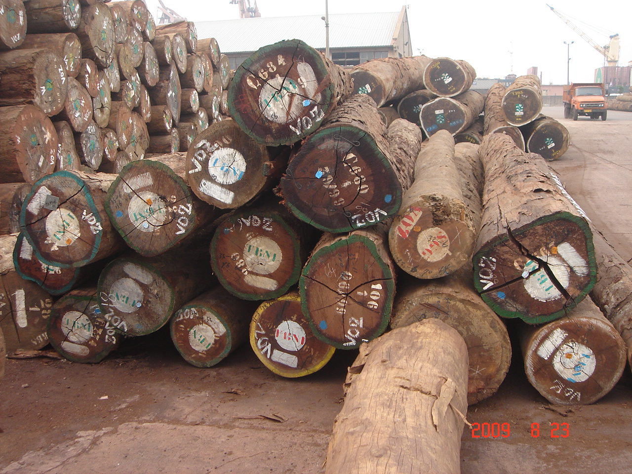  p>缅茄木,俗称:成复台,原产于加蓬,莫桑比克的优质木材,是船舶,高级