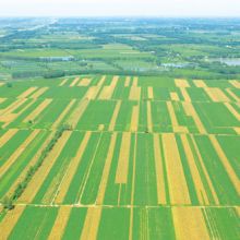 长江中下游平原