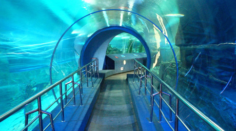  p>北京工体富国海底世界是 a href="#" data-lemmaid="1122445">中国