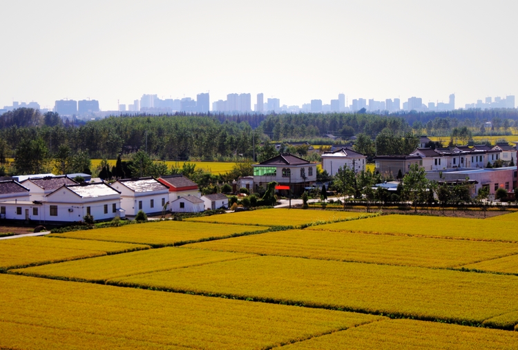 是江苏省 a target="_blank" href="/item/泰州市">泰州市 /a>下辖区