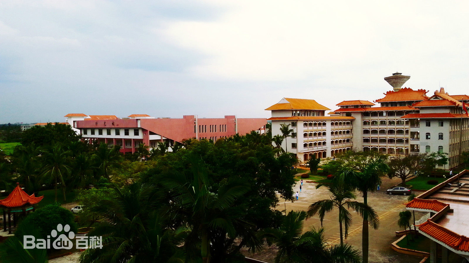 海南省一级中学