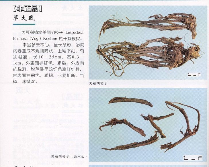 data-id="gnbimtozyv">红大戟, a target="_blank" href="/item/中药