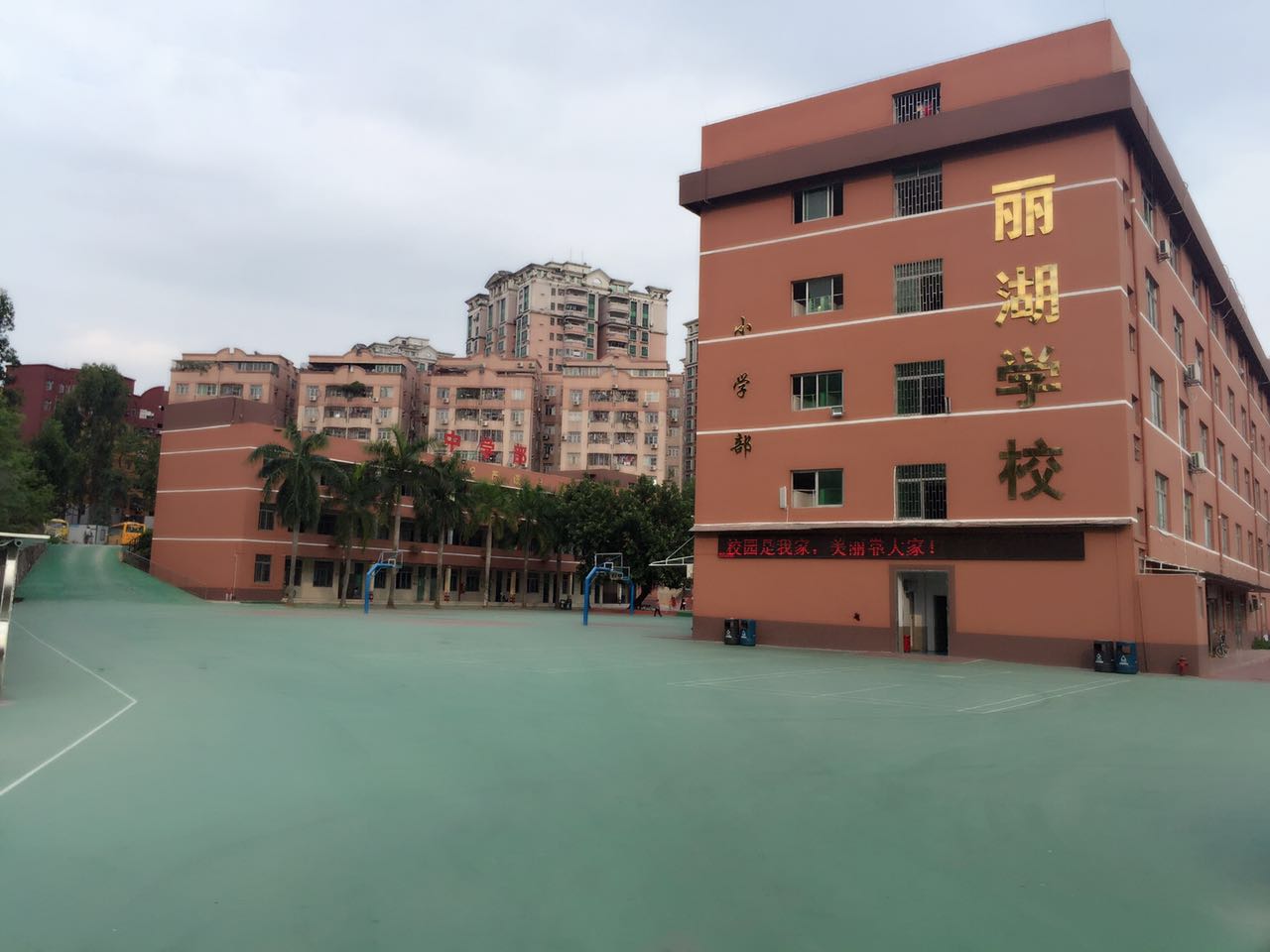 丽湖学校