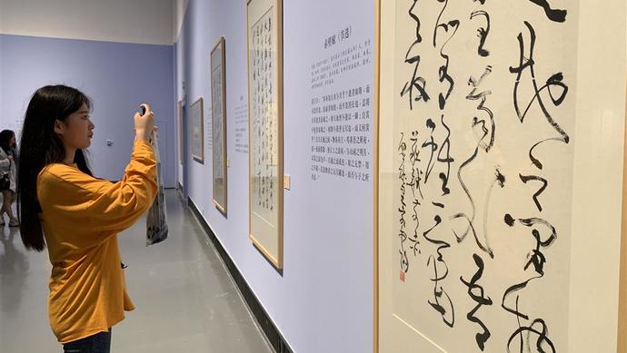 初心·前行，70位上海书法家作品在苏州美术馆亮相_百科TA说