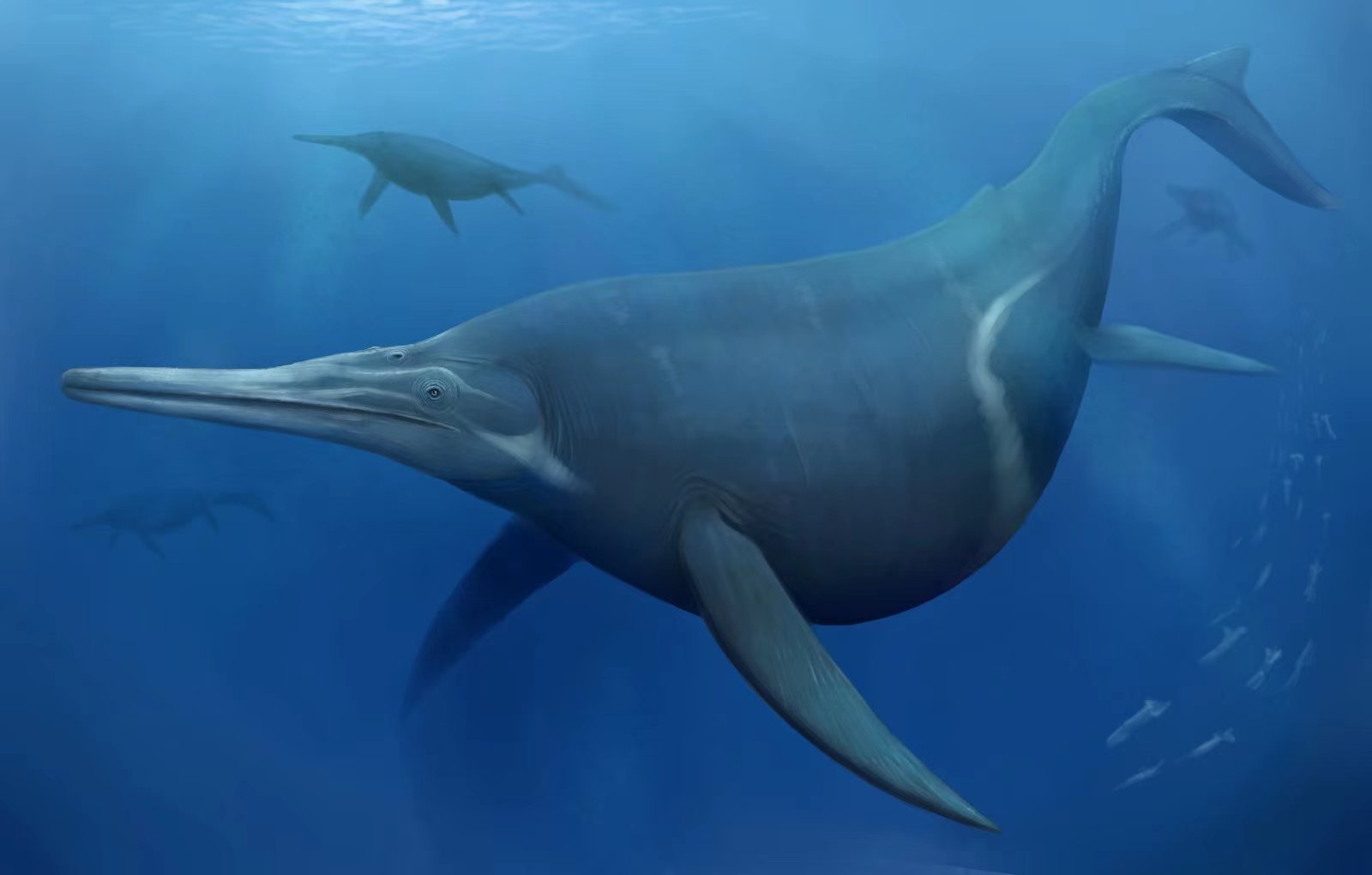  p> a target="_blank" href="/item/秀尼鱼龙属/15720935" data