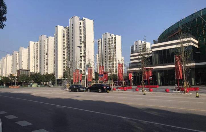 p data-id="gnbiq30vn4">上海新环广场位于浦东新区新场板块,是区域