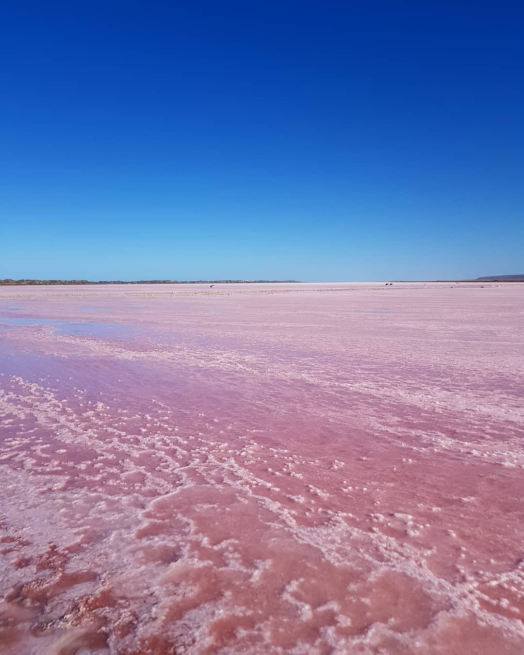  p> span class="ref" data-ctrid="sc1i9qy7mzma">赫特潟湖(hutt