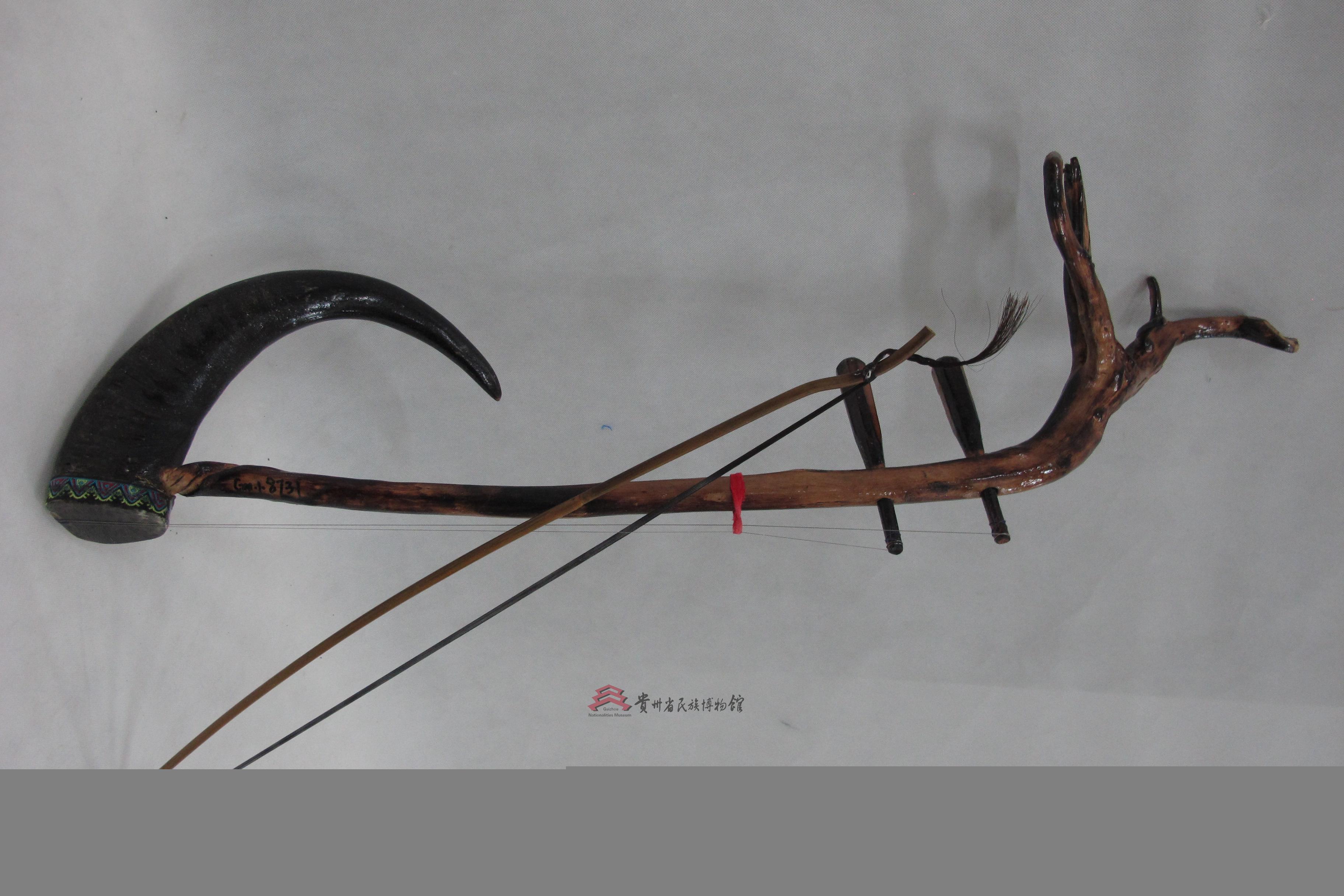 当代兴义布依族牛角胡