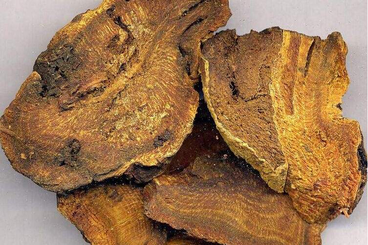  p>华亭大黄,甘肃省平凉市特产,中国国家地理标志产品. /p>