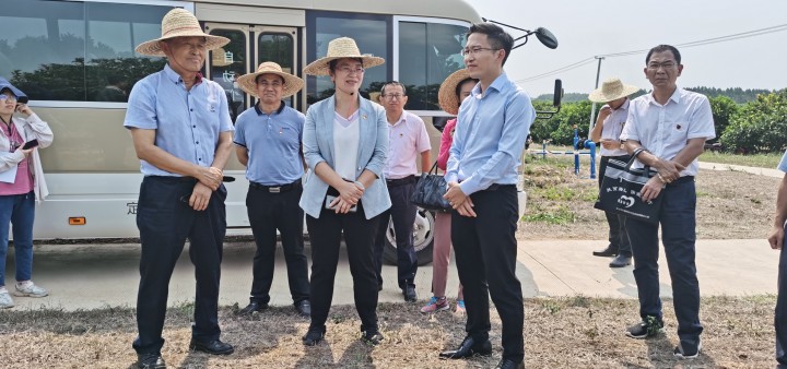  p>唐三石,又名唐磊,中国 a href="#" data-lemmaid="13346">海南 /a>