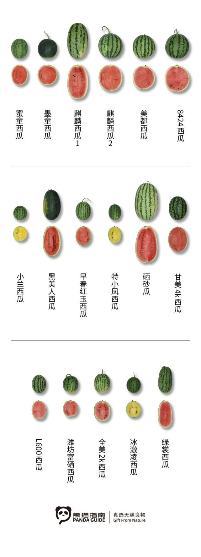 乘风破浪的瓜瓜们_百科TA说