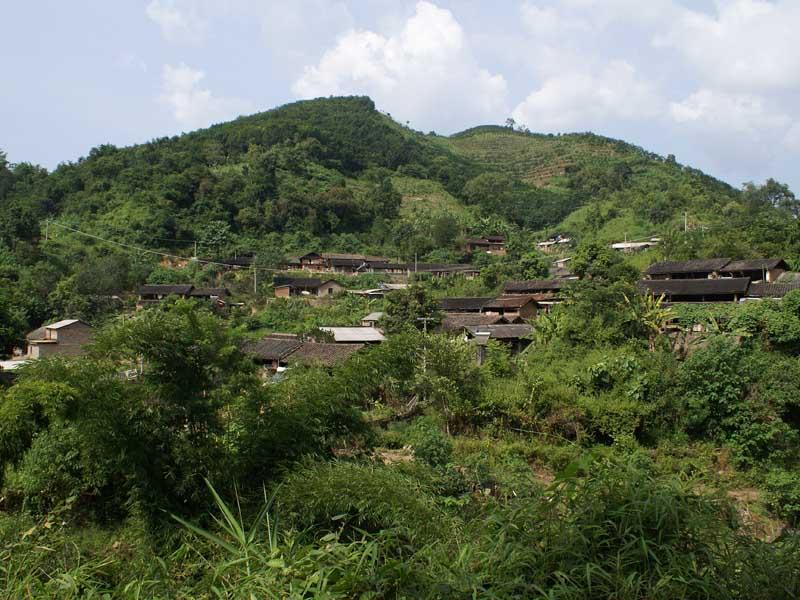 龙山村