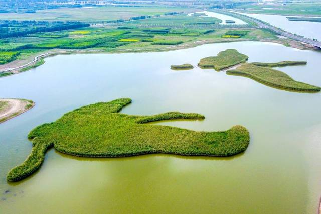 永宁湖湿地公园