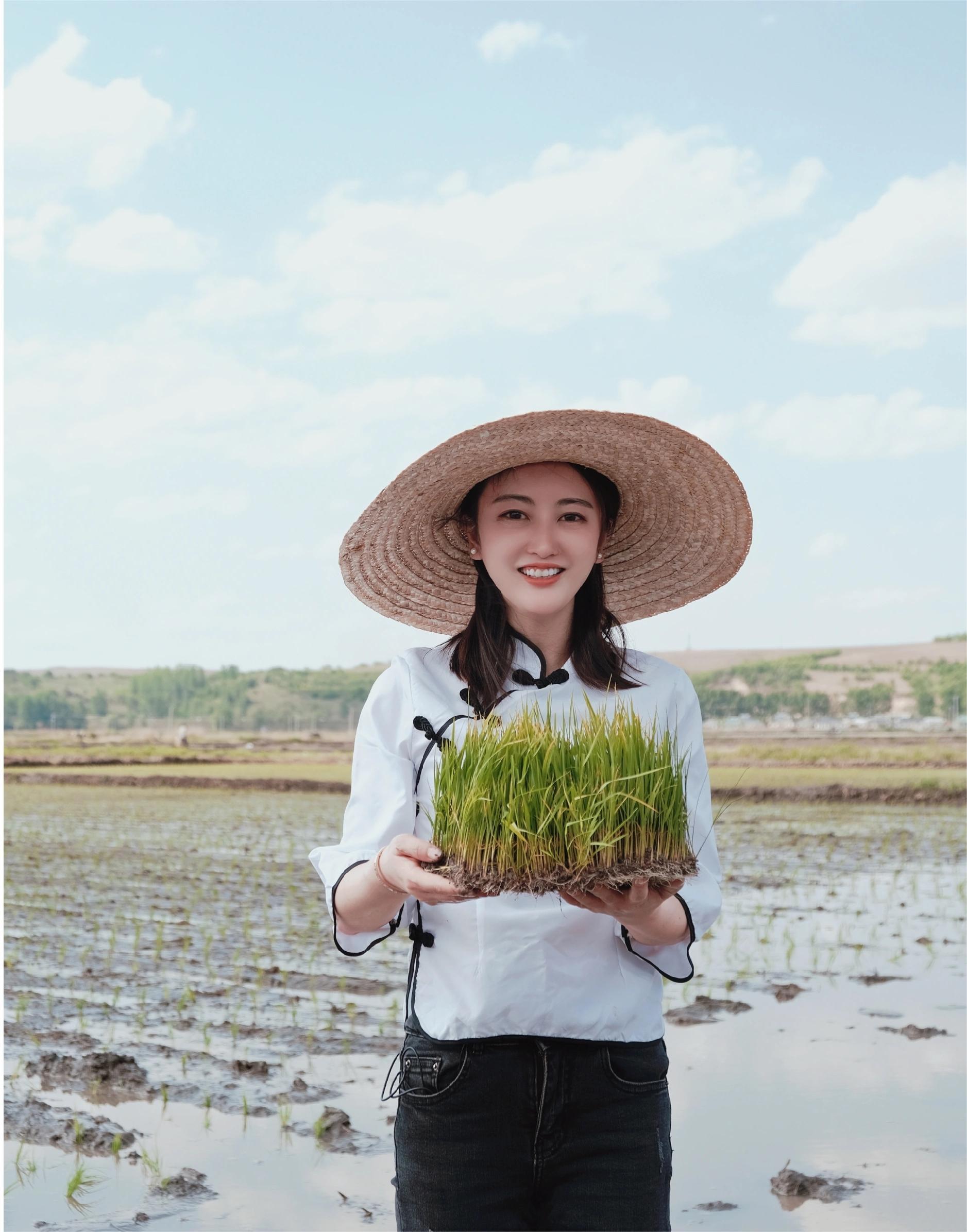 杨丽娜