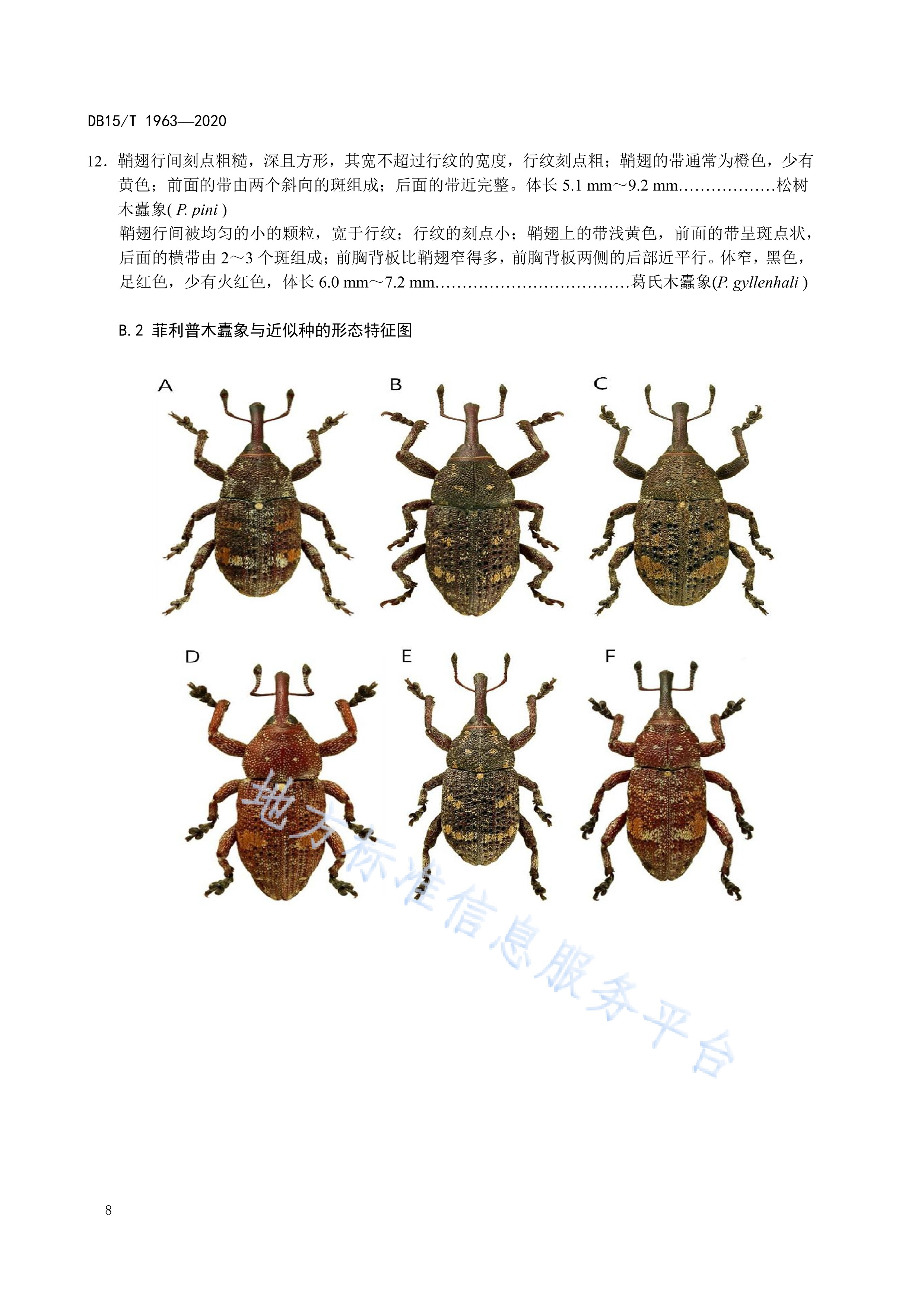  p>《菲利普木蠹象检疫鉴定方法》(db15/t 1963-2020)是2020年9月28日