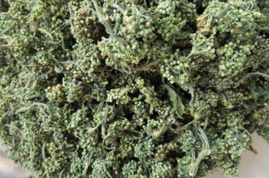 人参花 百度百科