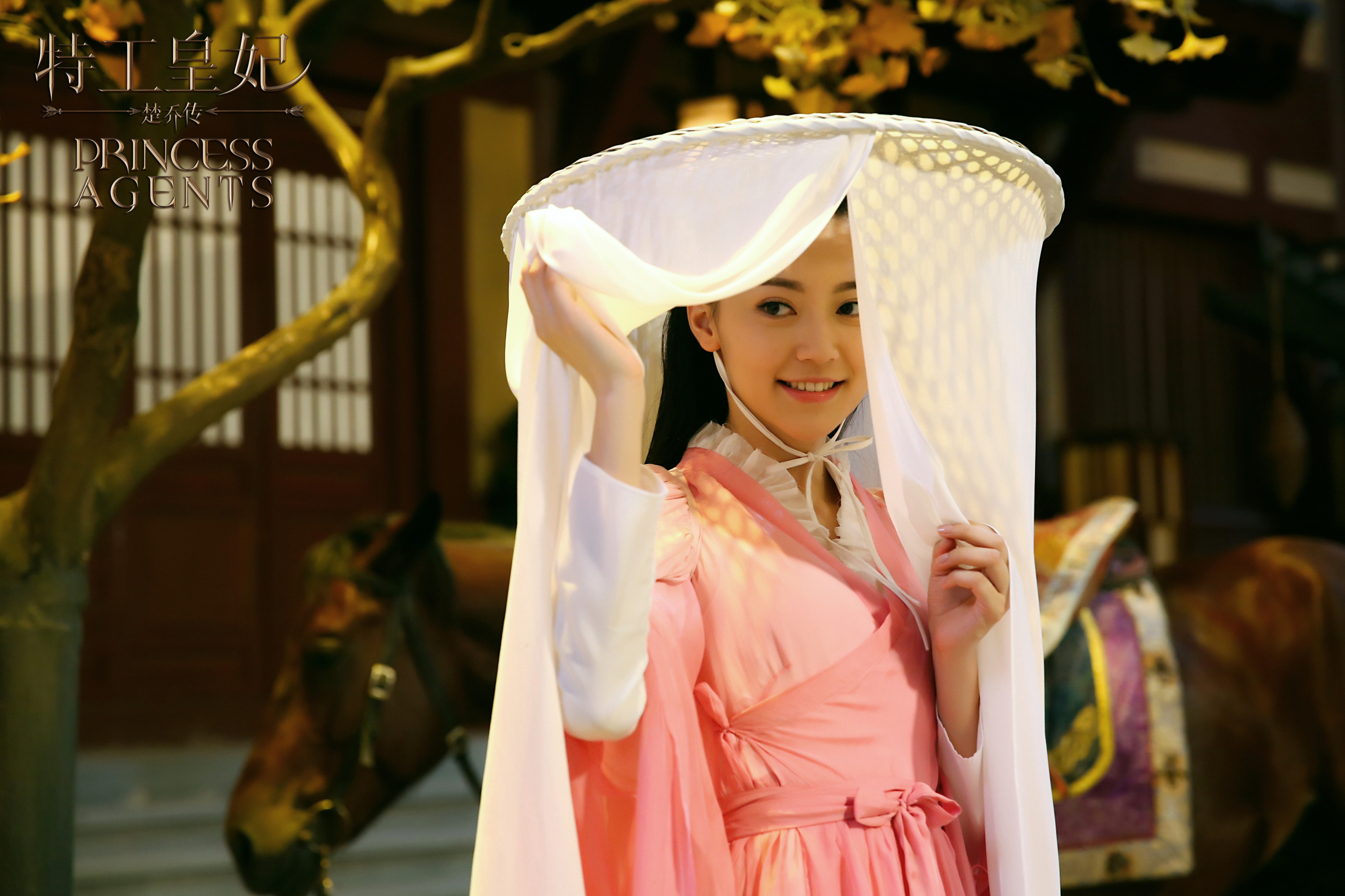  p>《楚乔传》是由 a target="_blank" href="