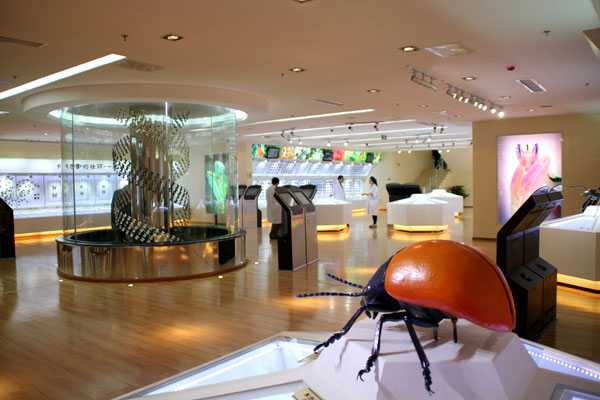 成都华希昆虫博物馆