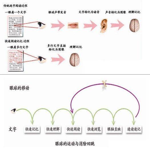 速读记忆_百度百科