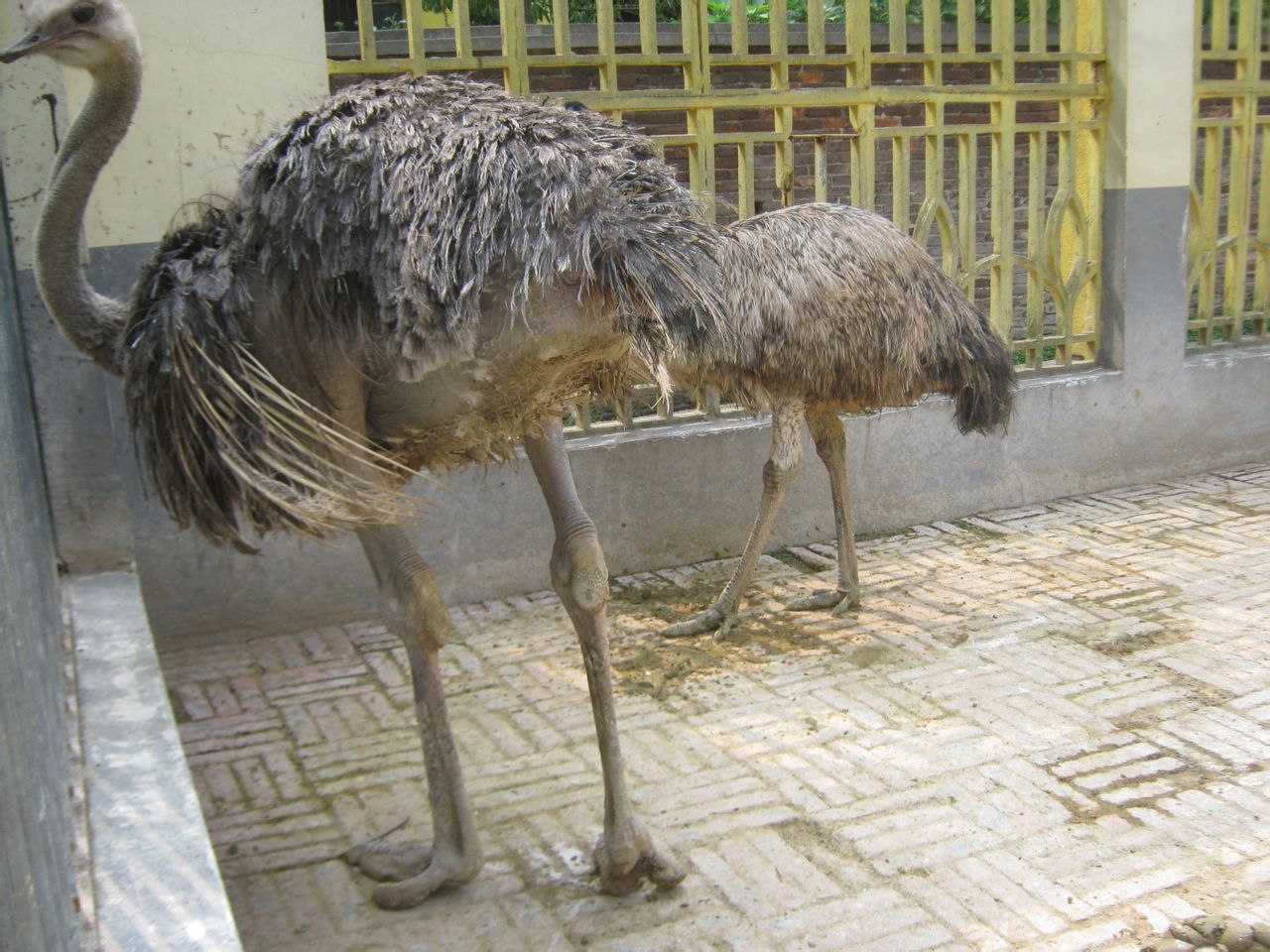  p>衡阳动物园坐落于中南重镇 a href="#" data-lemmaid="235811">