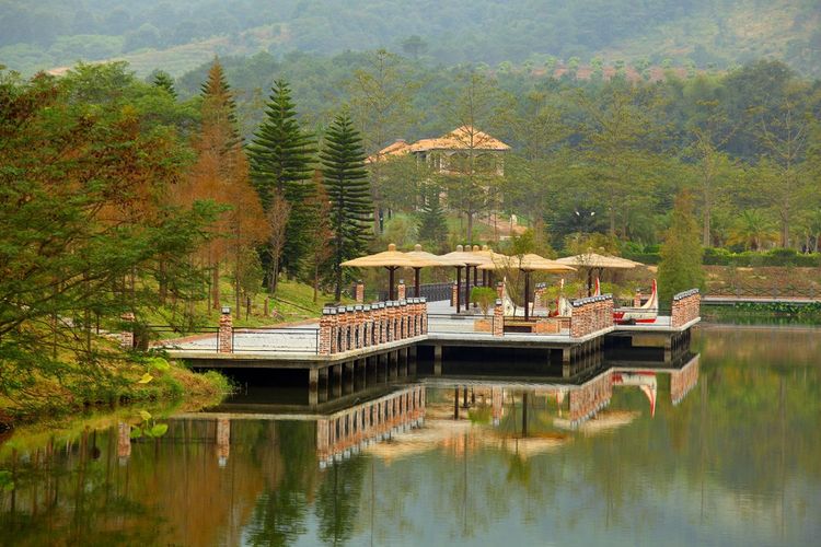 广东清远市佛冈田野绿世界景区