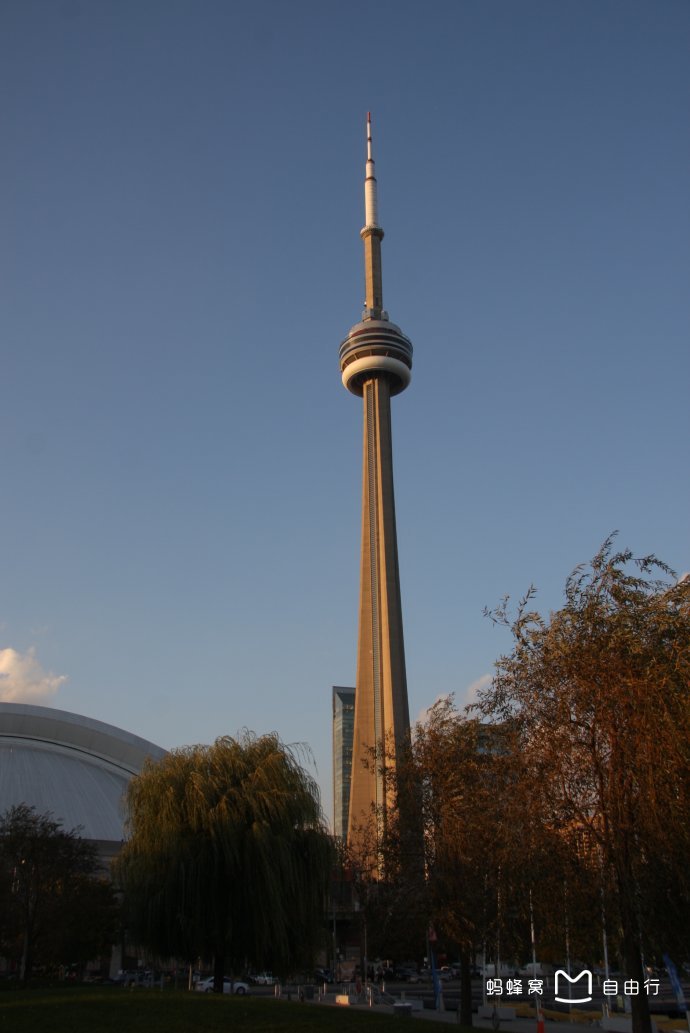 多伦多市电视台