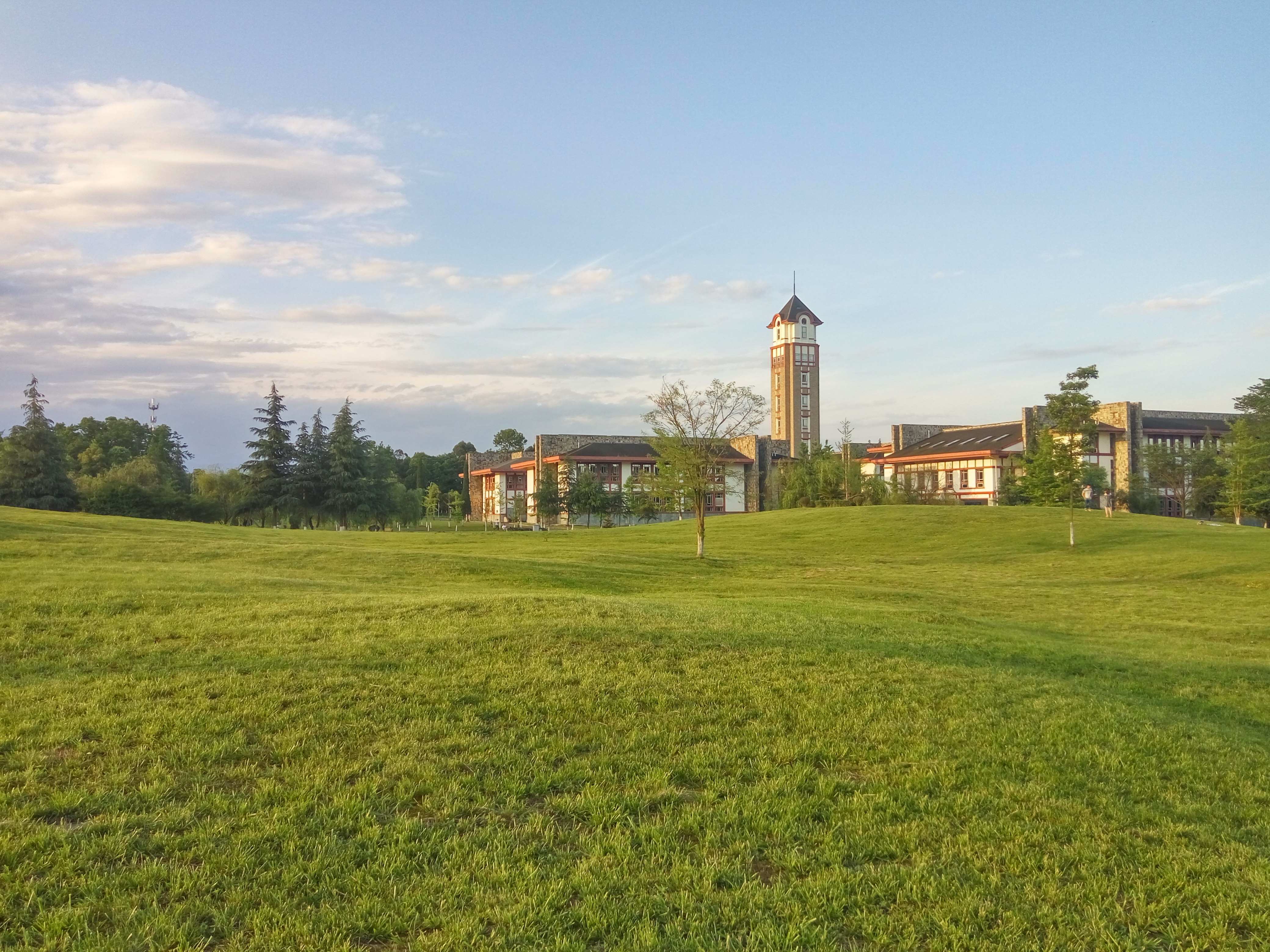  p>成都东软学院( i>chengdu neusoft university /i>),坐落于四川省