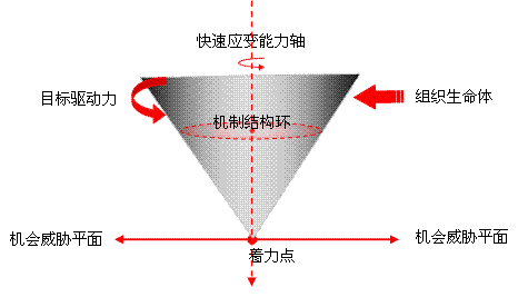 陀螺游戏