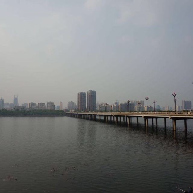 洛阳市牡丹桥
