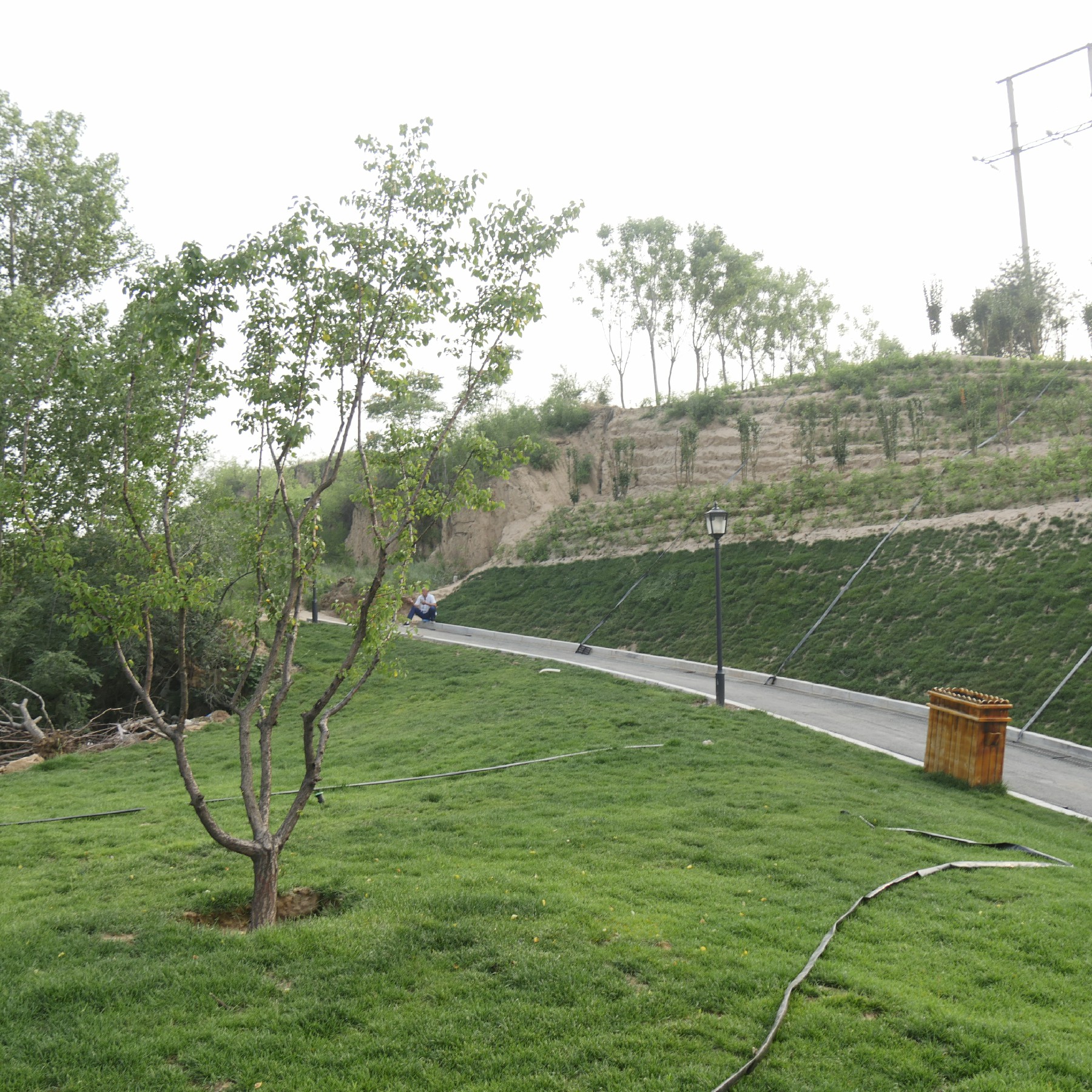  p>九龙岗森林公园位于 a target="_blank" href="/item/忻州市