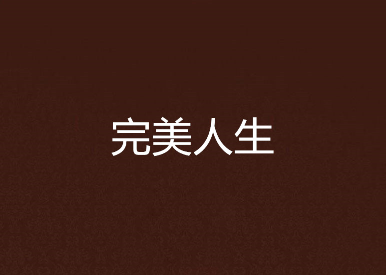 完美人生