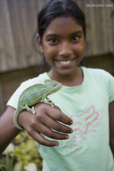  p>高冠变色龙是变色龙的一种,因为头上高耸的 a target="_blank"