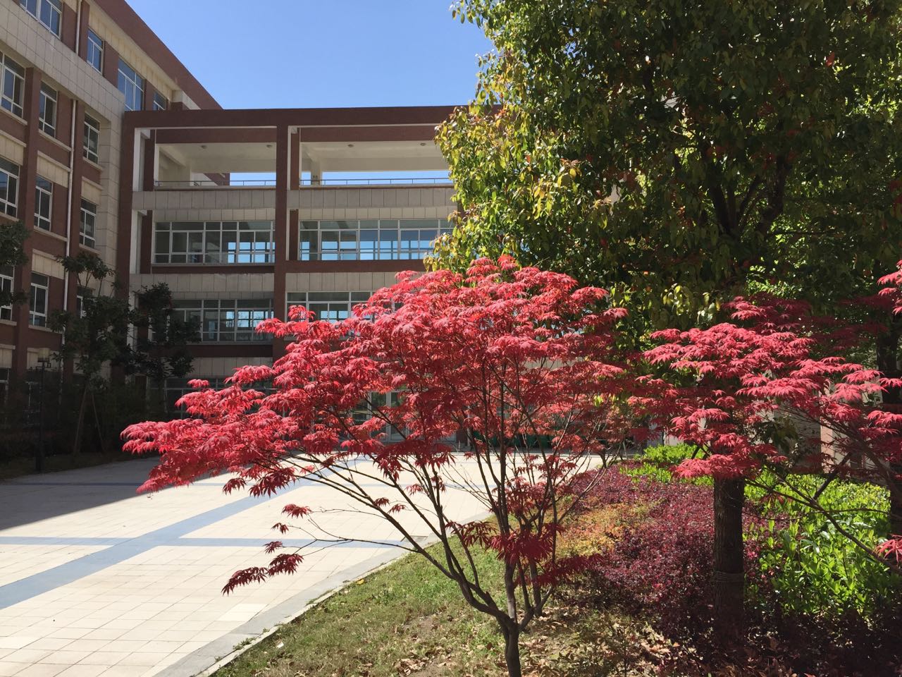 安徽省寿县第三中学