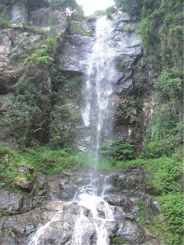 桃花溪森林公园